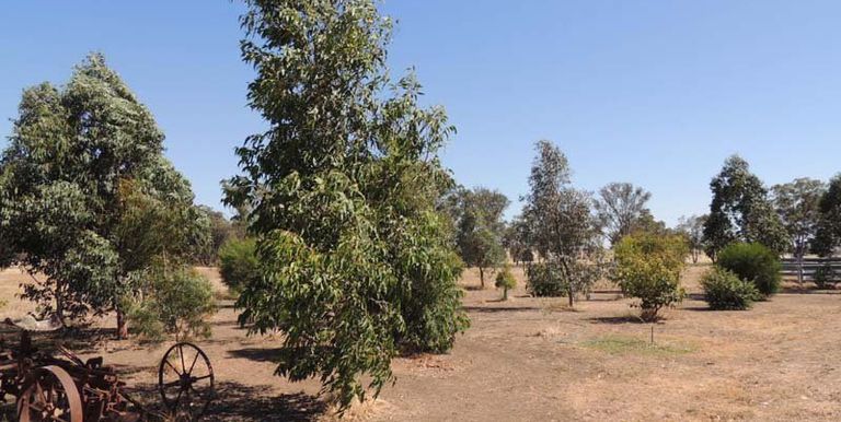 100 Repeater Road Locksley, Avenel