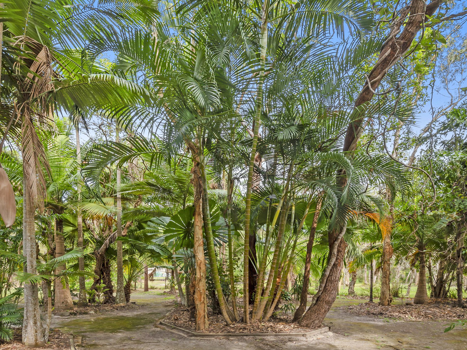 3 Whipbird Place, Doonan