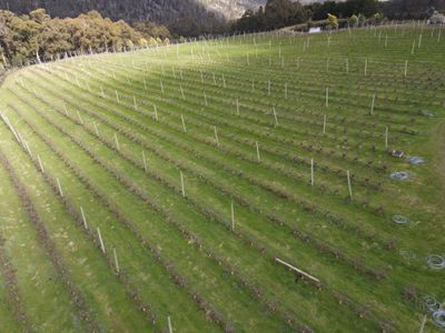 Lot 1, 1529 Huon Highway, Lower Longley