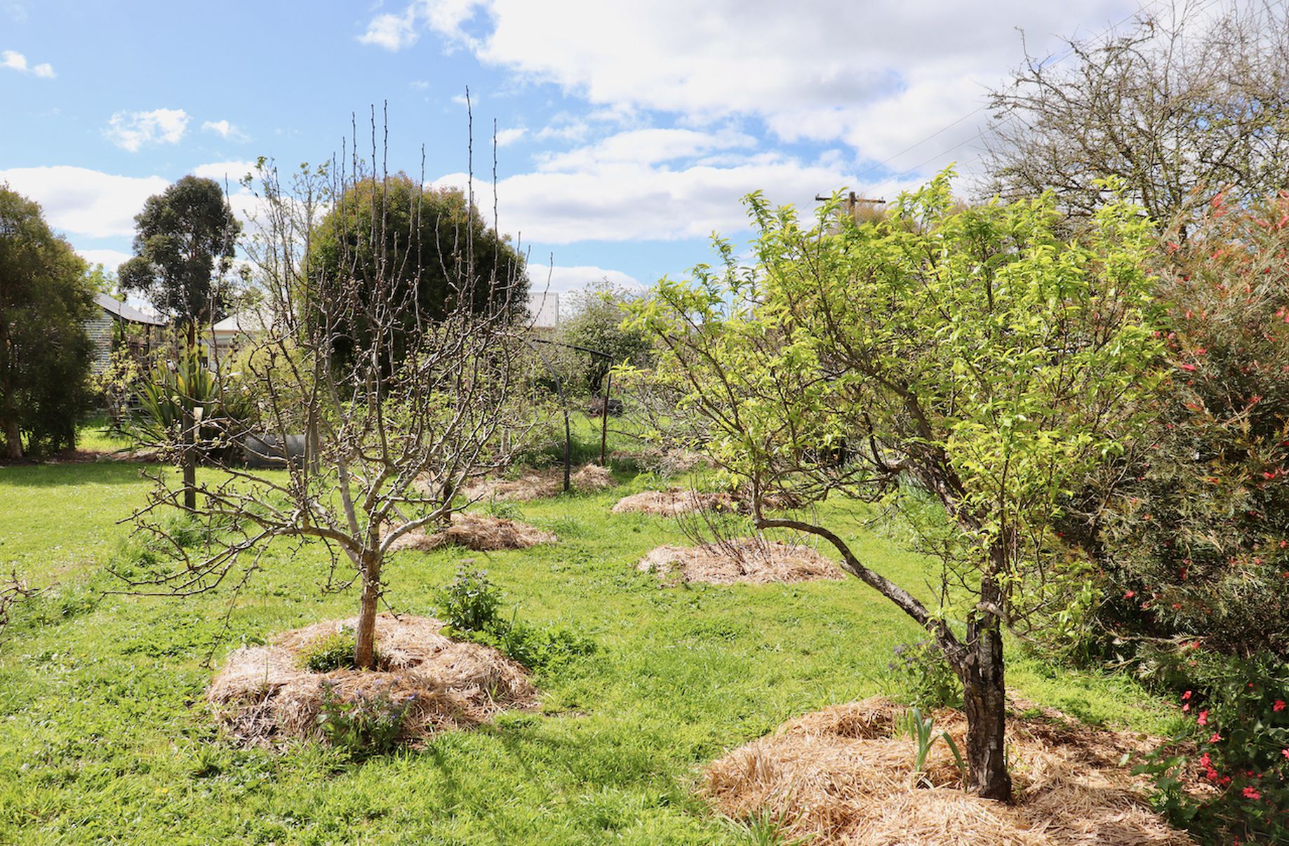 30 Ennis Street, Birregurra