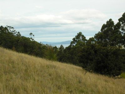Lot 2, Cradoc Hill Road, Cygnet