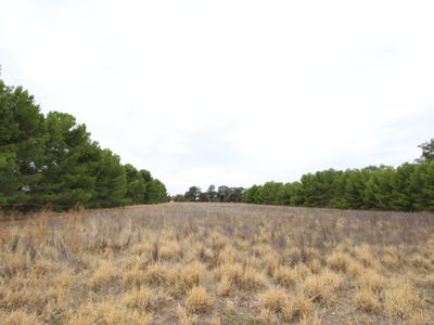 Lot 12 Green Street West, Lockhart