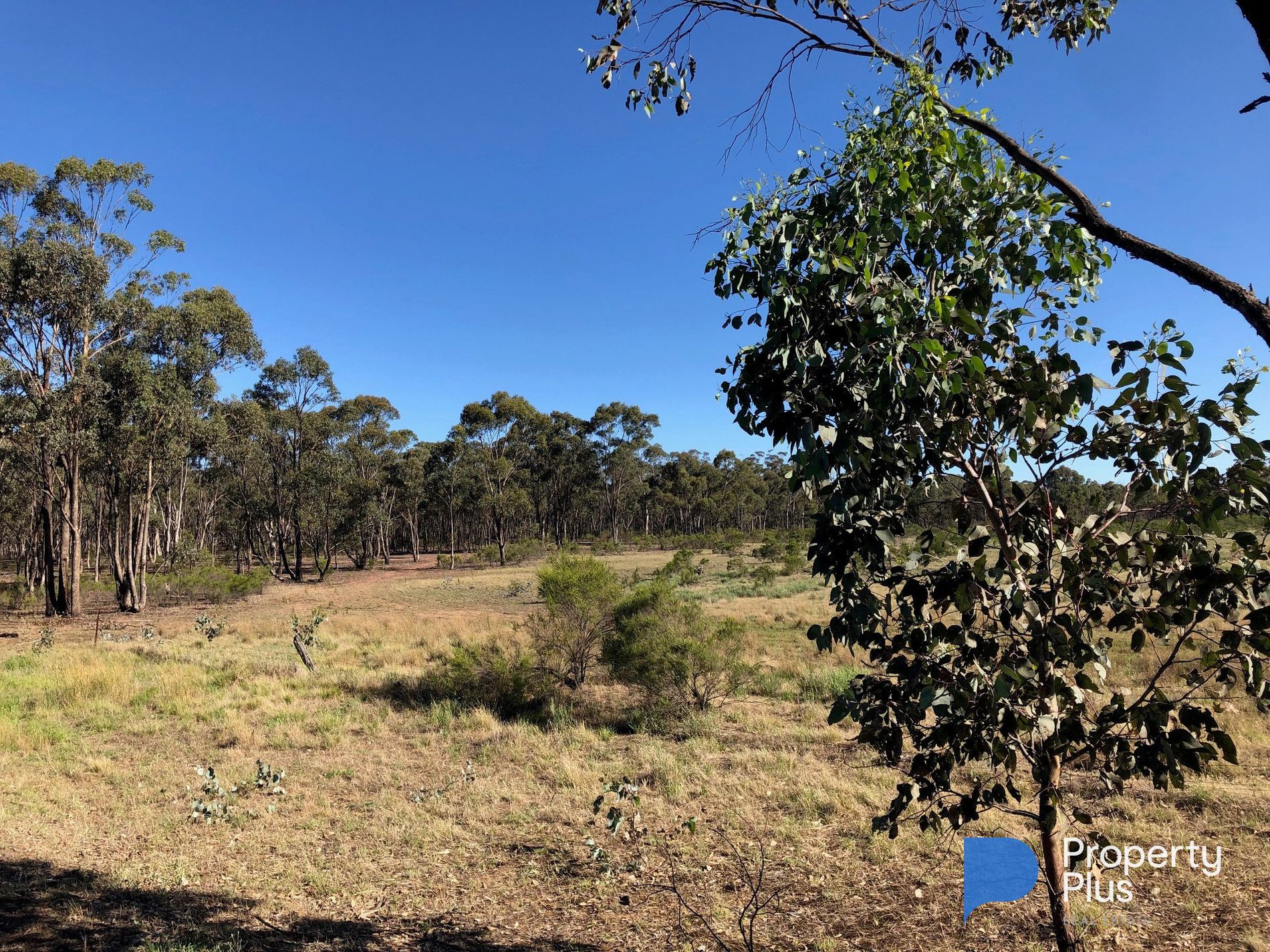 Lot 18 & 19, Derby Road, Campbells Forest