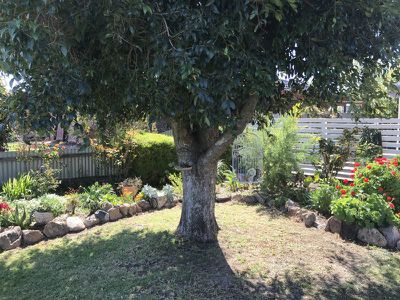 39 Niemur Street, Barham