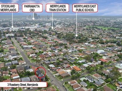 3 Roseberry Street, Merrylands