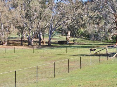 Bonnie Doon