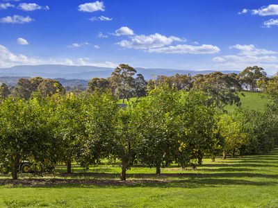 586 Kangaroo Ground St Andrews Road, Panton Hill