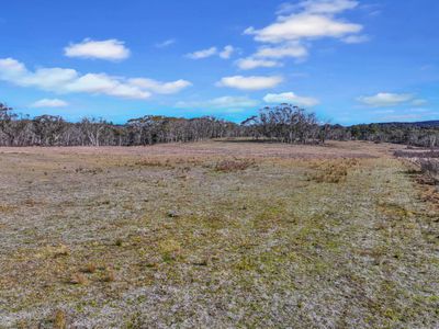 Lot 113 / 443 Back Creek Road, Mongarlowe