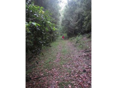 515 Tallowa Dam Road, Kangaroo Valley