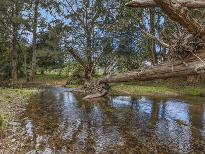 89 McMillans Road, Ellenborough