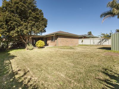 146 Coachwood Drive, Medowie