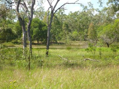 2 Flaggy Road, Cooktown