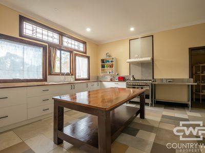 106 Warra Forest Road, Mount Mitchell