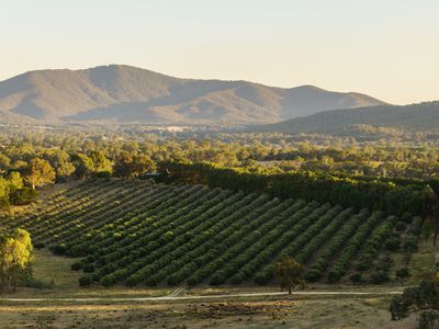 2490 Samaria Road, Moorngag