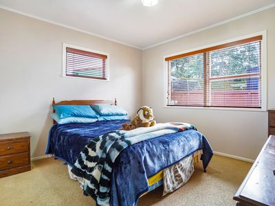 43 Taupo Street, Green Bay