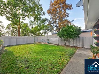 18 Berallier Drive, Camden South