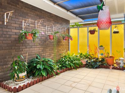 19 Richards Street, Svensson Heights