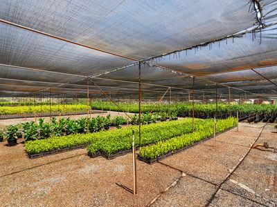 37 Landgren Road, Casuarina