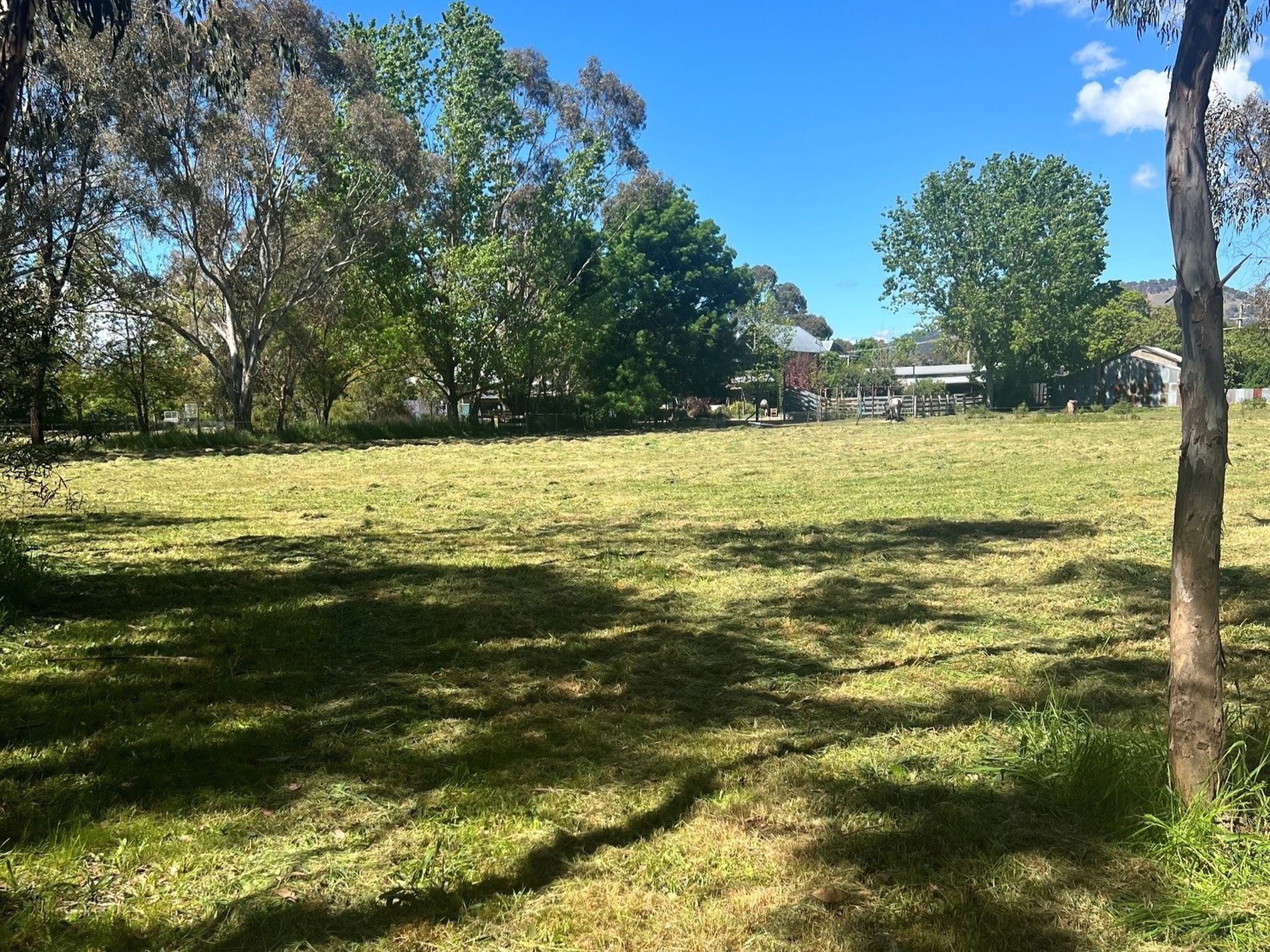 5 Rowe Street, Mansfield