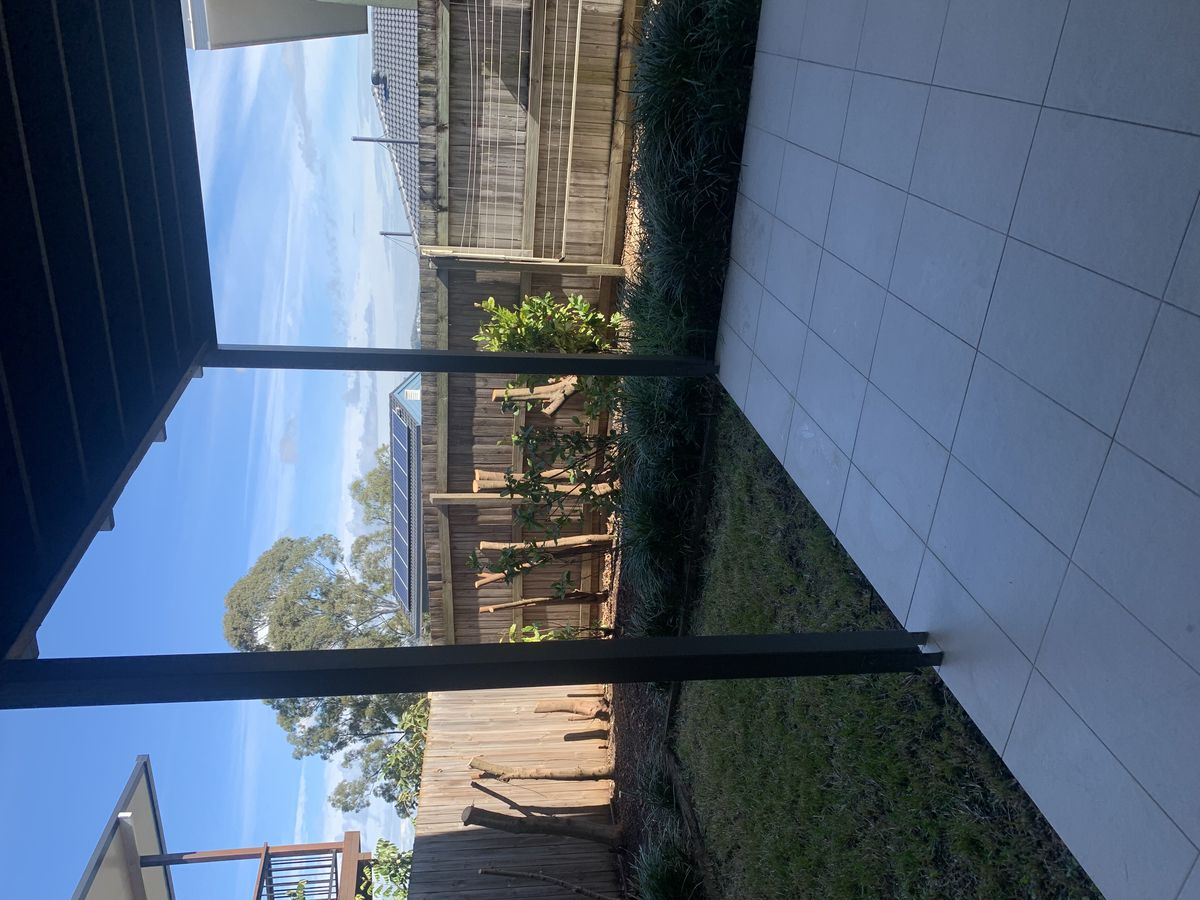 16 Hartigan Street, Belmont