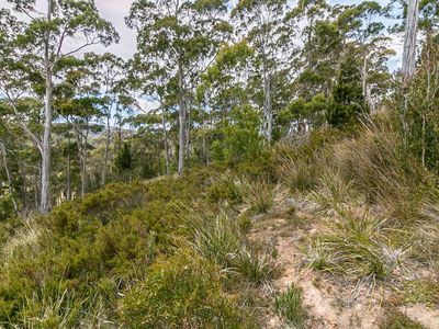 29 Cowen Joe Road, Gardners Bay
