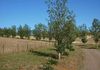Lot 3 Amaroo Road, Orange