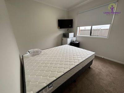 17 Pintail Drive, Melton South