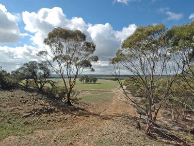 18717 / Mawson Dodenanning Road, Quairading