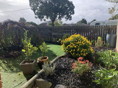 1 / 47 Thompson Street, Whittington