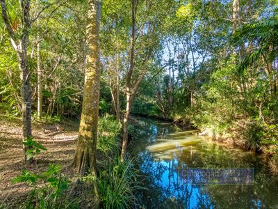 5 Left Bank Road, Mullumbimby