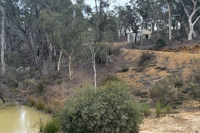 266 Strawberry Creek Road, WINDELLAMA, Windellama - Thumbnail 4