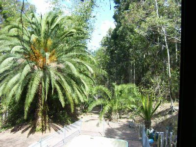 Cooranbong