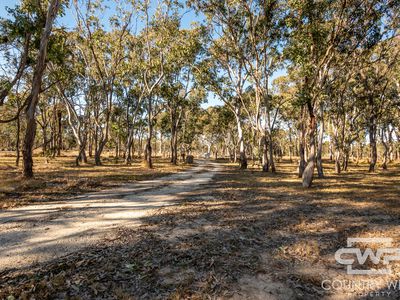 239 Geyers Road, Tenterfield