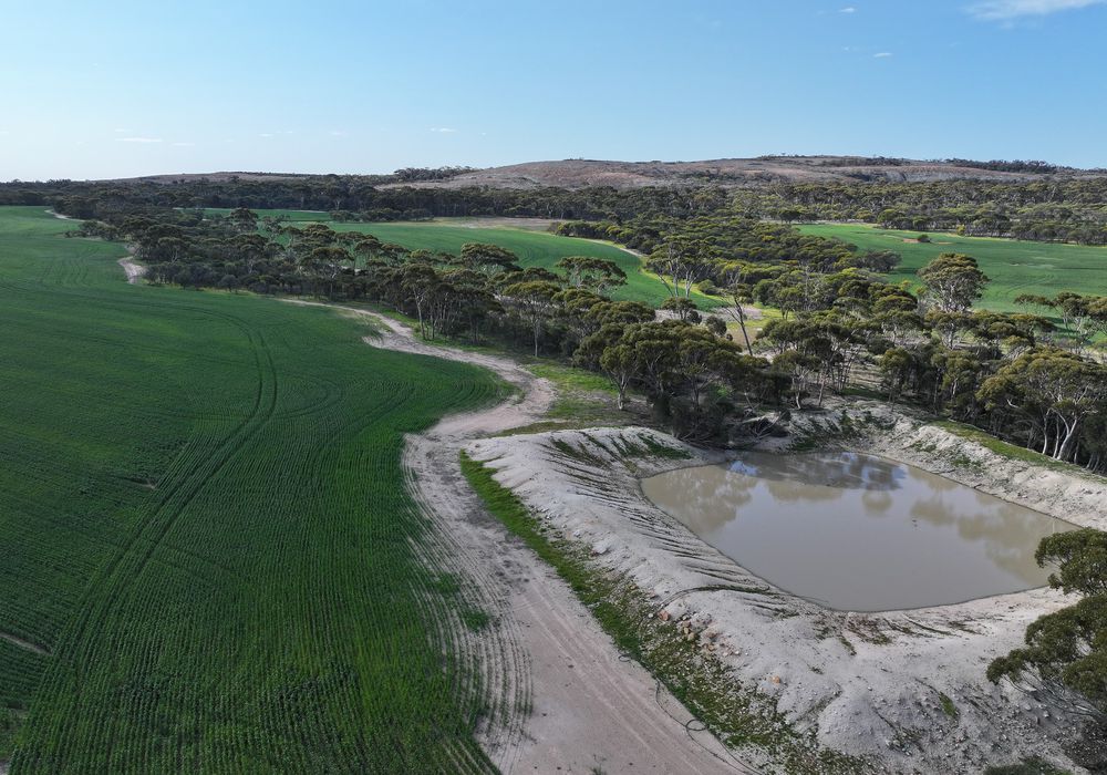 'Kamdarley' & 'King View', Hyden