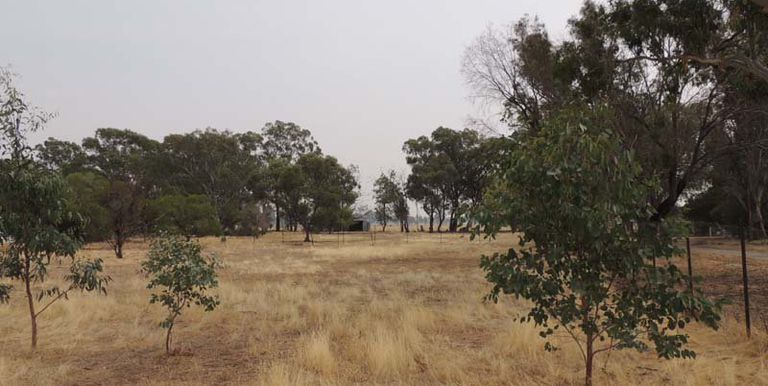 Lot 5, Maxfield Street, Longwood