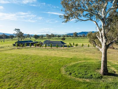 43 Dueran Lane, Mansfield