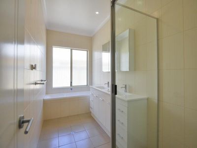 17 Riseberry Way, Somerville