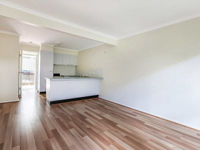 5 / 31 Baden Powell Street, Maroochydore