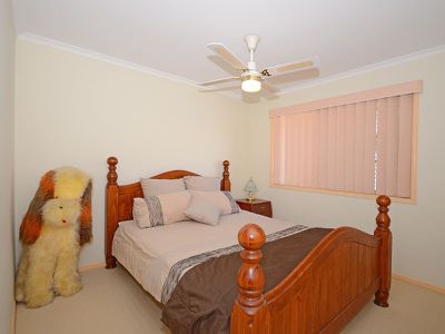 24 BUSHLARK AVENUE, Eli Waters