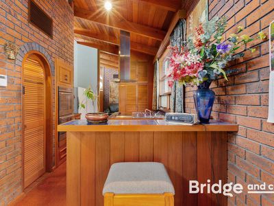 16 John Cleland Drive, Beaumont