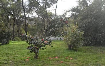 415 O'Neil Road, Beaconsfield