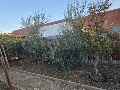 1 / 123 Murray Street, Finley