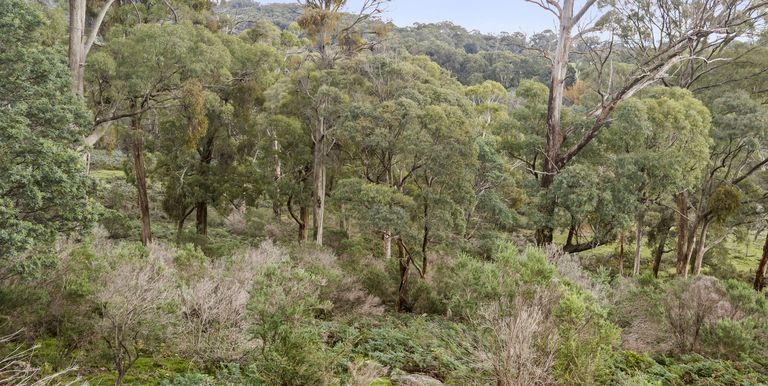 Lot 1 & 2 McCombes Road, Creek Junction