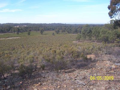 Willows Road, Murchison