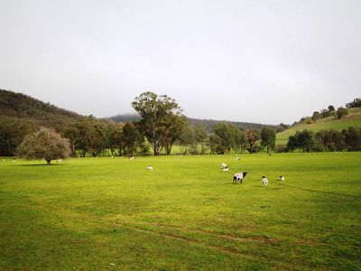 344 Taminick Gap Road, Taminick