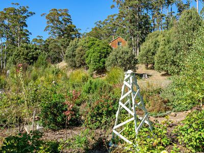 634 Tobys Hill Road, Cygnet