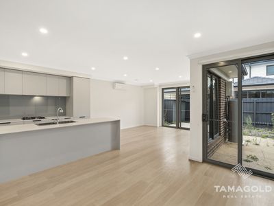 9 Loosestrife Street, Narre Warren