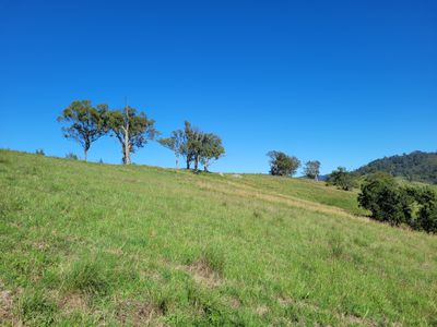 552 Neringla Road, Neringla