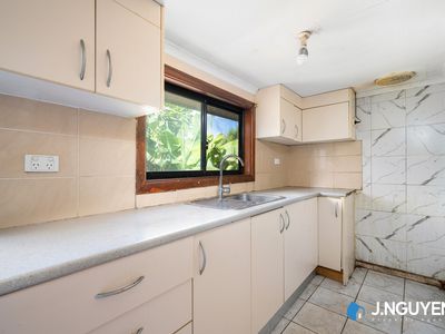 16 Mckibbin Street, Canley Heights