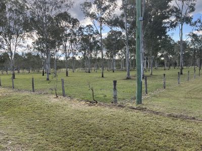 Wattle Camp